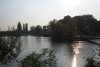 oide donau.JPG