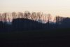 26.12.2018 17-13-47_0021.jpg.landschaft.jpg