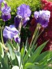 18.05.2019 12-00-49_0027.jpg.iris.jpg